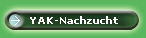 YAK-Nachzucht