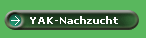 YAK-Nachzucht